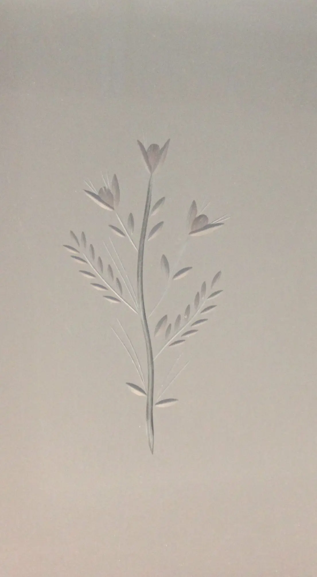 Foto 1 VÃ­drio de talla artesanal TALLA 110