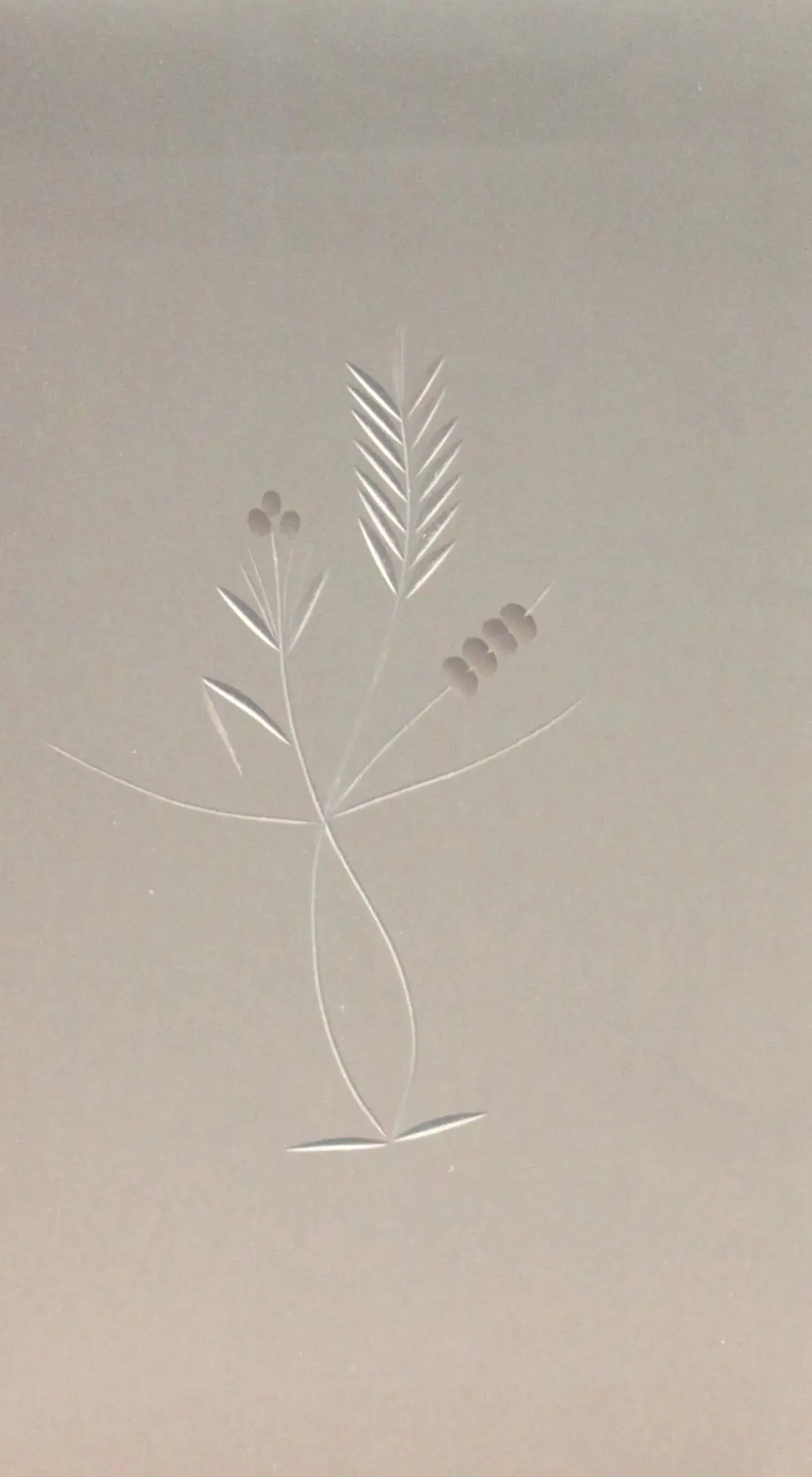 Foto 1 VÃ­drio de talla artesanal TALLA 118