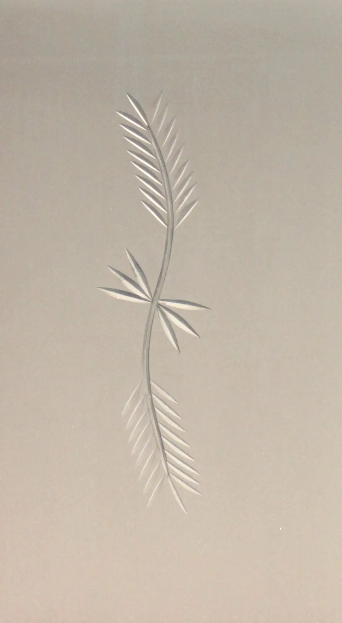 Foto 1 VÃ­drio de talla artesanal TALLA 125