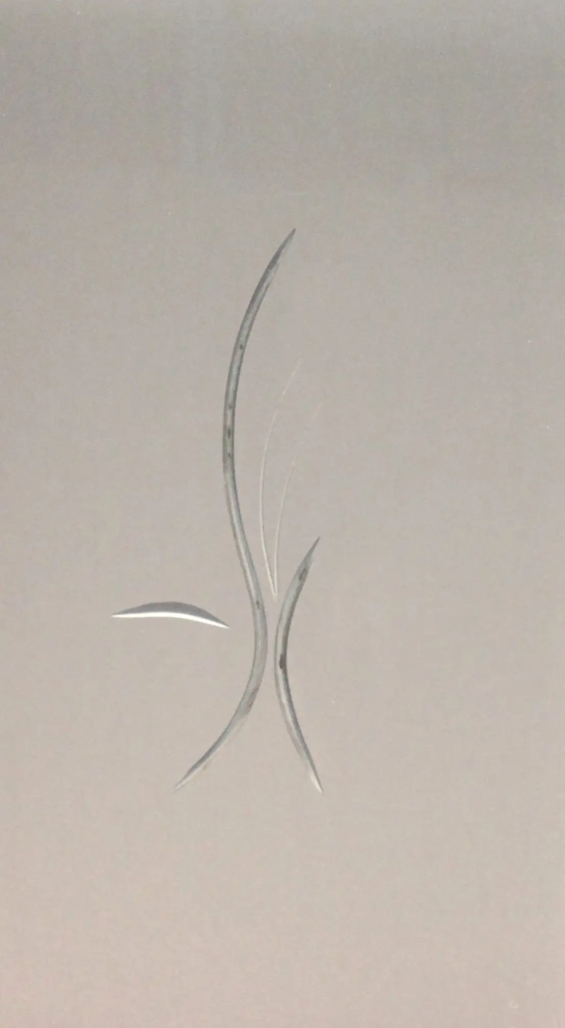 Foto 1 VÃ­drio de talla artesanal TALLA 131