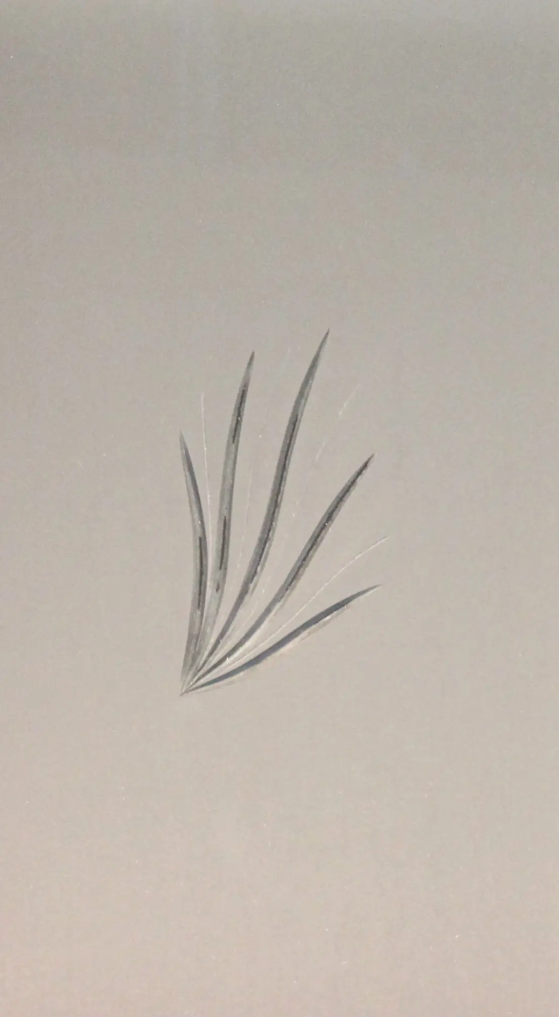 Foto 1 VÃ­drio de talla artesanal TALLA 144