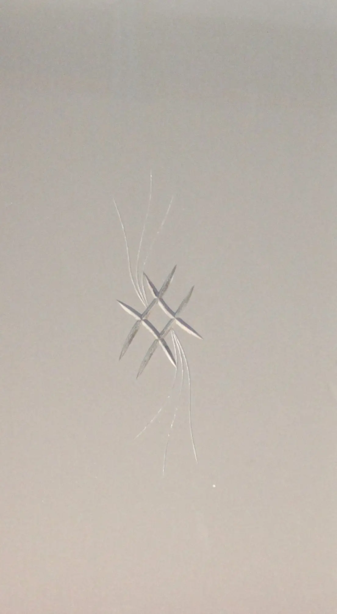 Foto 1 VÃ­drio de talla artesanal TALLA 145