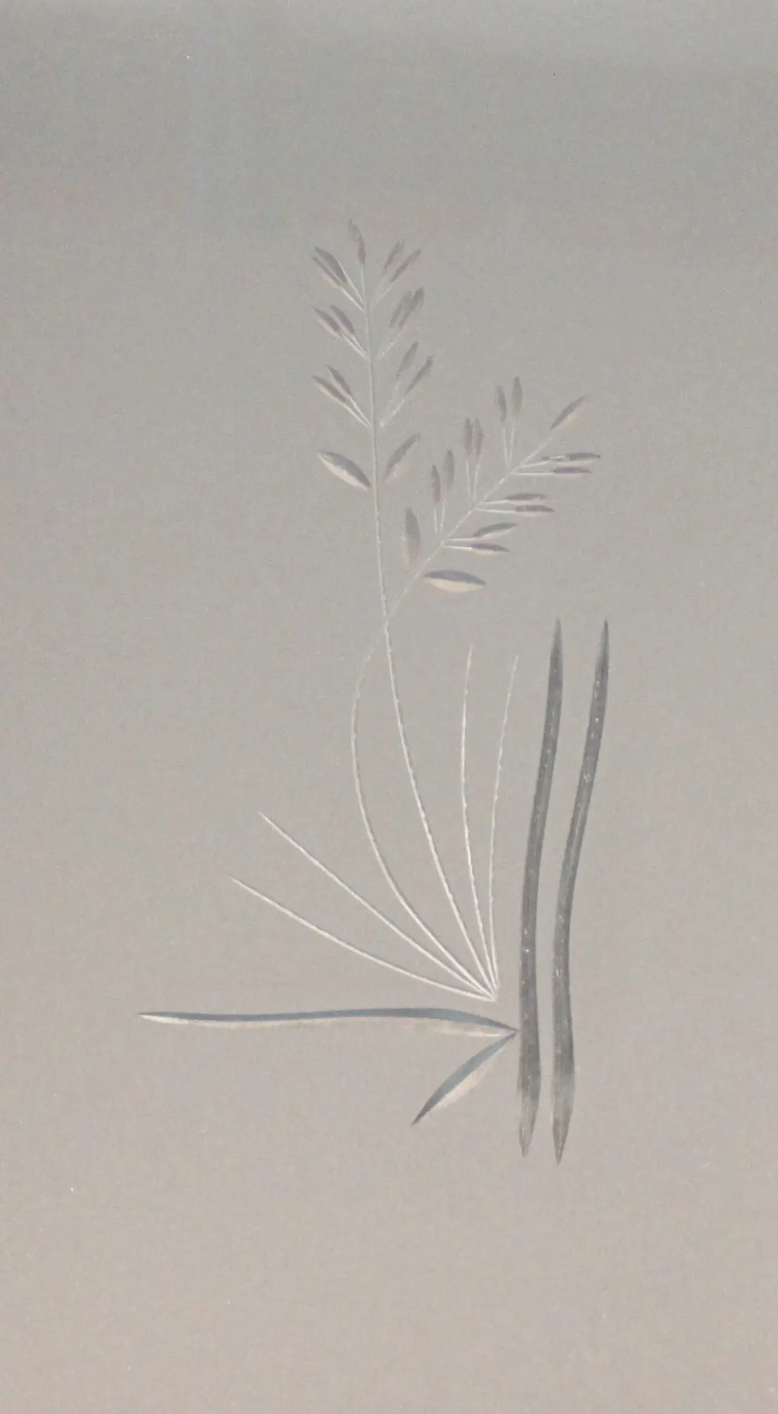 Foto 1 VÃ­drio de talla artesanal TALLA 153