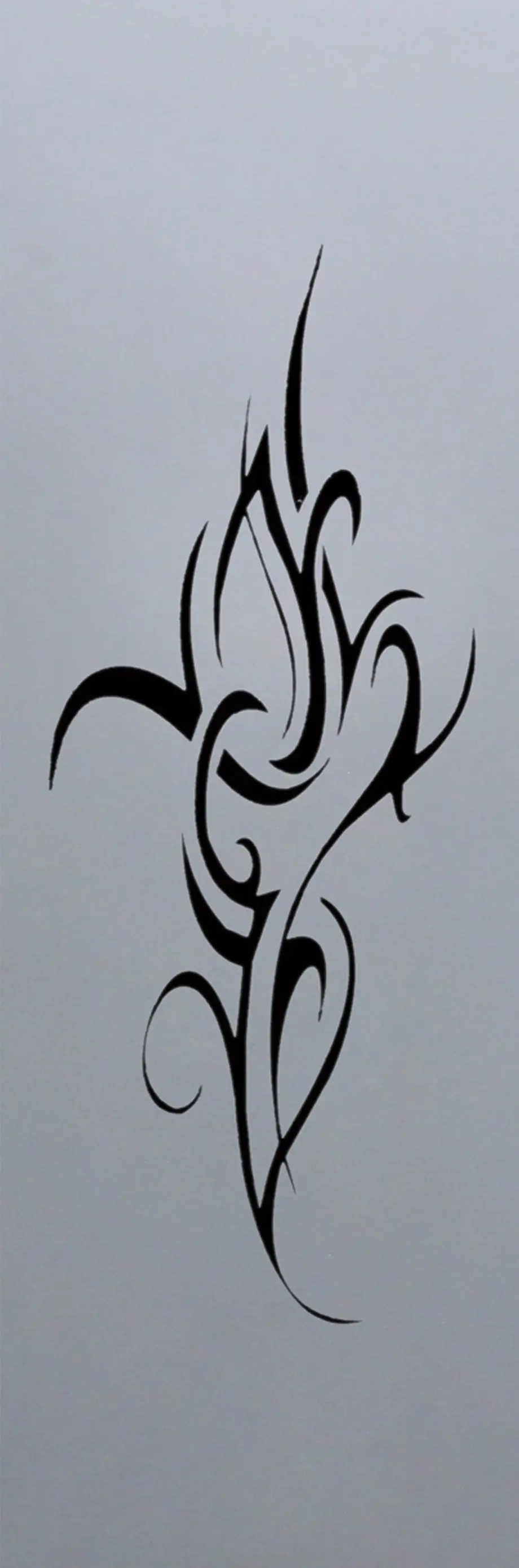 Foto 1 VÃ­drio para puerta completa con detalles en negro VD-32